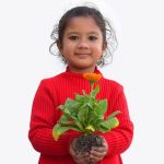 comportament pozitiv