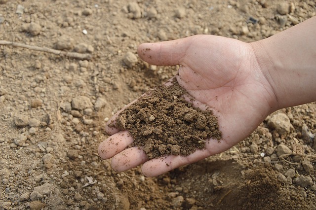 De ce miroase uneori urât compostul făcut acasă